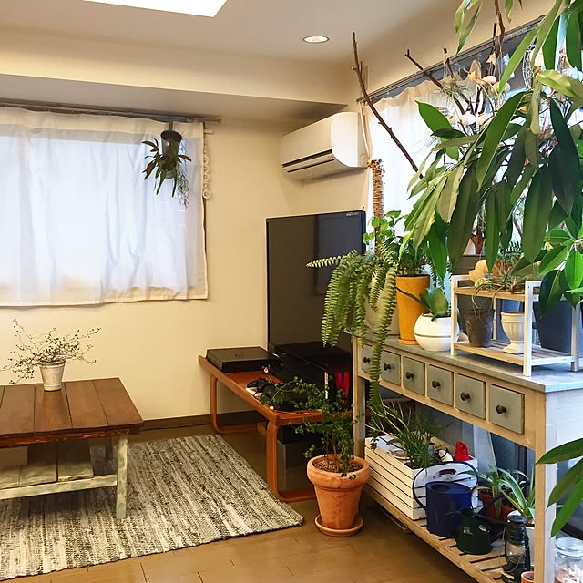 実例写真