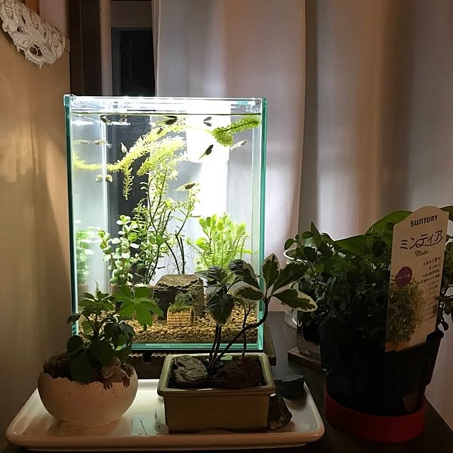 mi-saさんの部屋