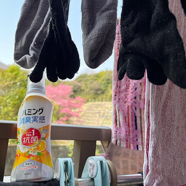 koitanさんの実例写真