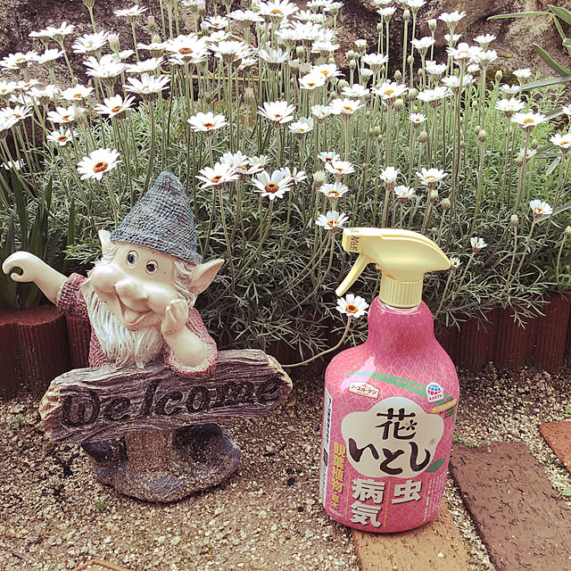 mimi.mocchiさんの実例写真