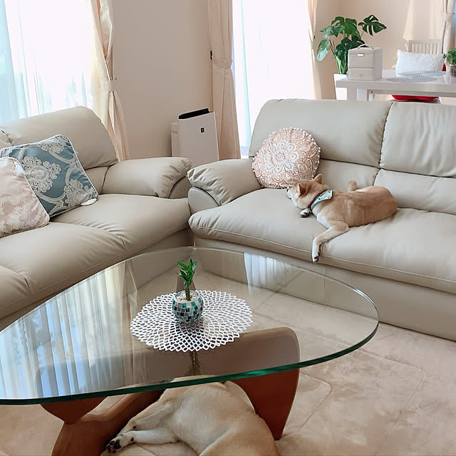 ニトリ 3人用合皮ソファ(Nシールドキャッツ3 IV) - 通販 | 家具 ニトリ 3人用合皮ソファ(Nシールドキャッツ3 IV) - 通販 | 家具