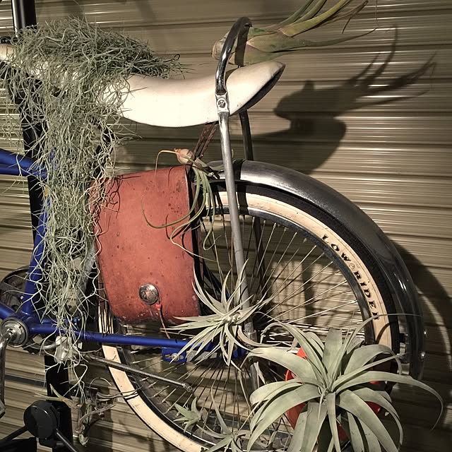 motomaki_zaouさんの実例写真