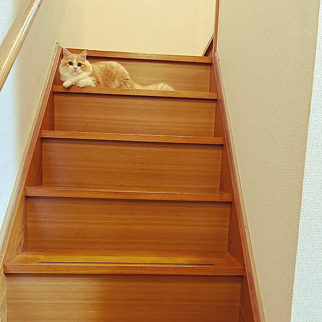junさんの実例写真