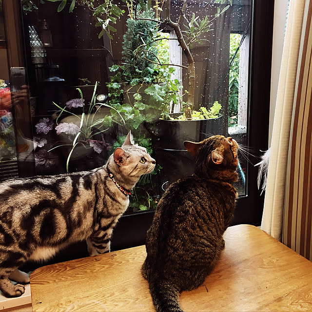 実例写真