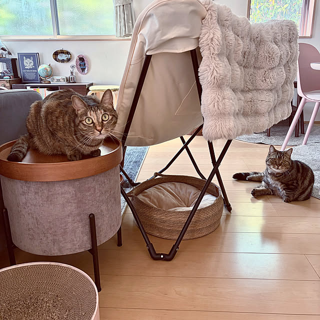 chiiさんの実例写真