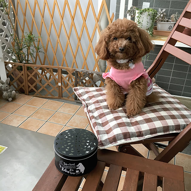 ISM.mumさんの実例写真