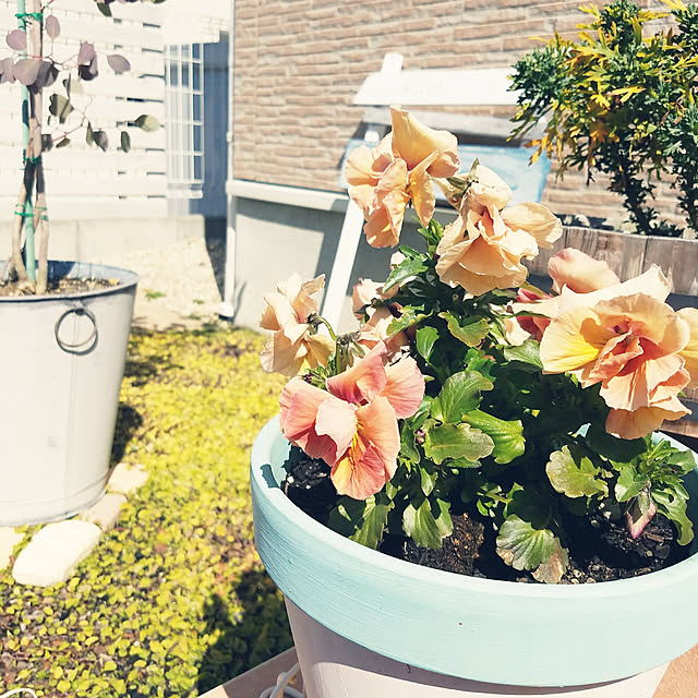 A.hさんの実例写真