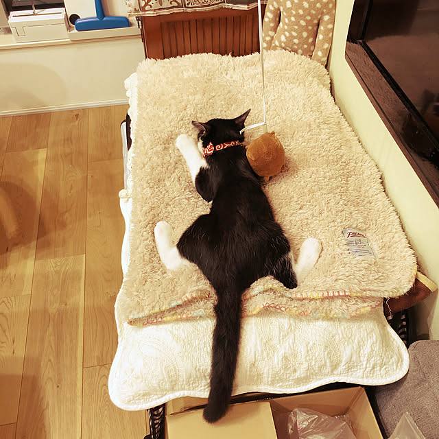 sakura_171220さんの実例写真