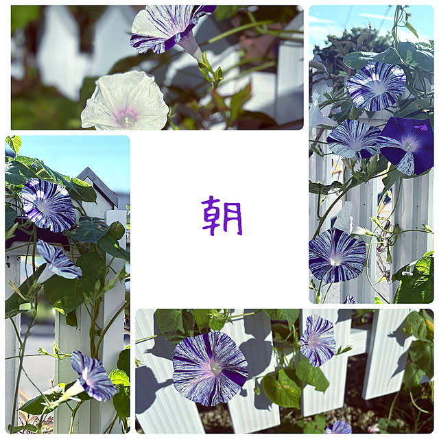 usagiさんの部屋
