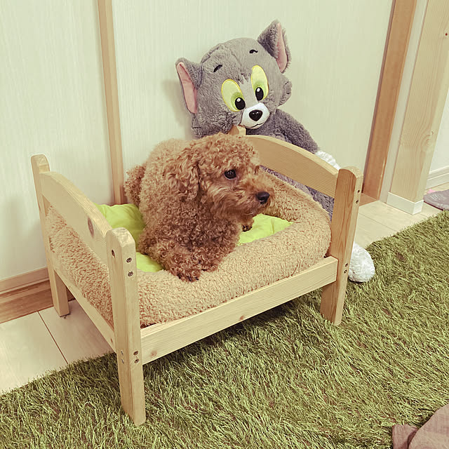 sunsunさんの実例写真