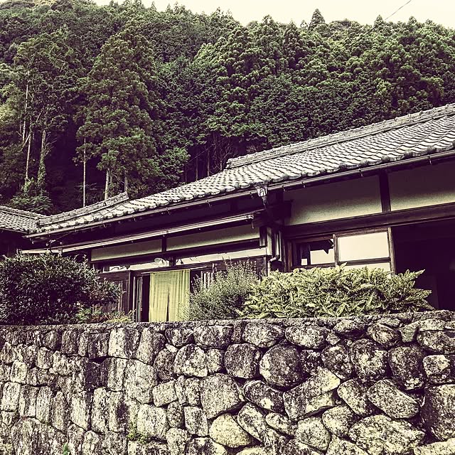 実例写真