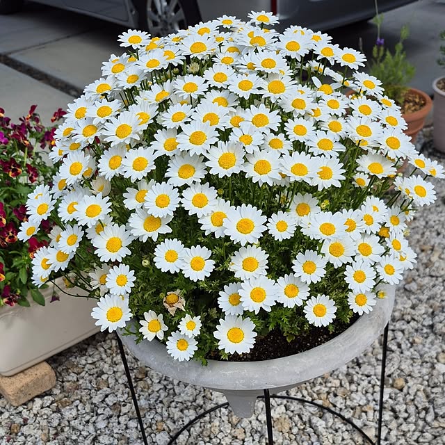 katieさんの部屋