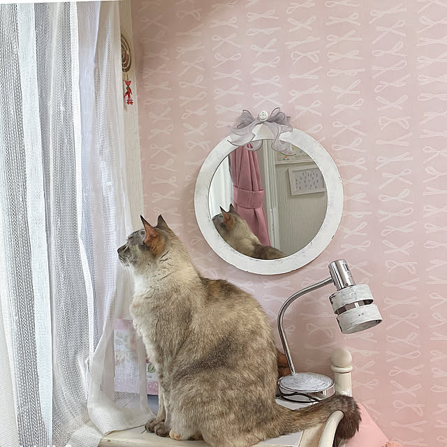 noelさんの部屋