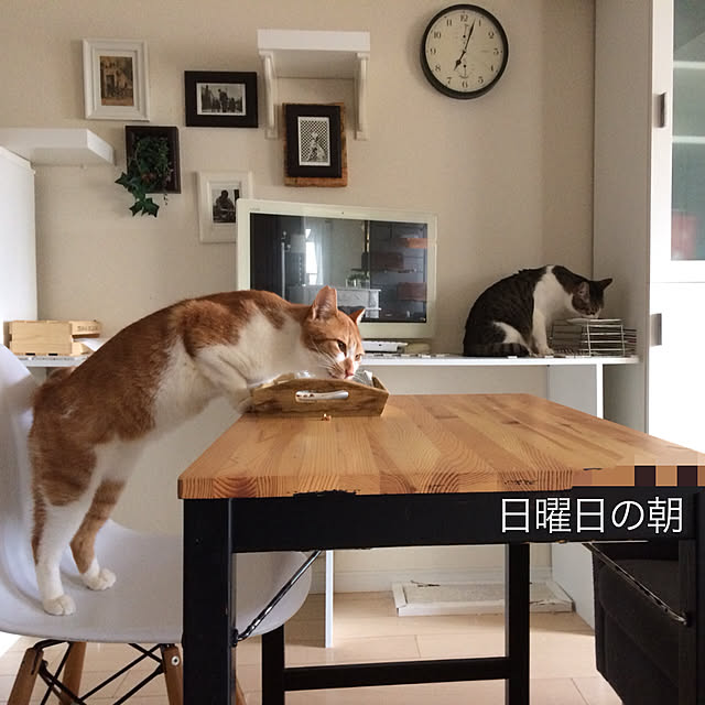 キッチンのインテリア実例 - 2019-03-10 20:54:47