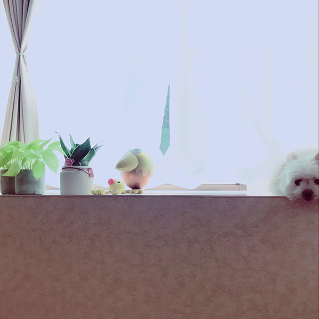 fbiさんの実例写真