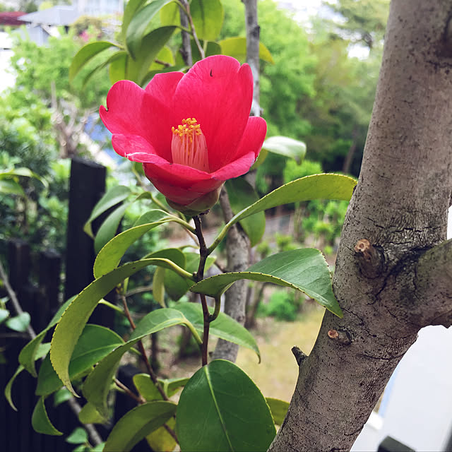 RIERINさんの実例写真