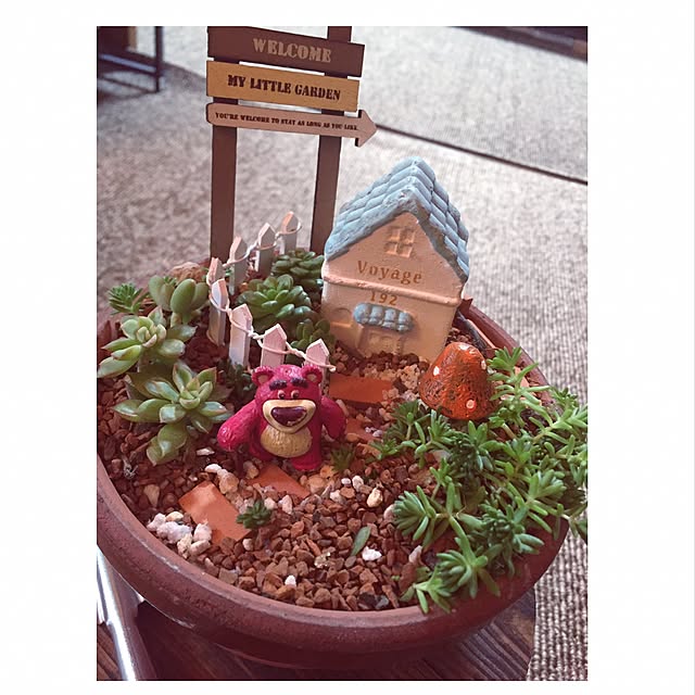 部屋全体/キャラクター/サボテン/観葉植物/多肉植物...などのインテリア実例 - 2016-10-14 01:01:36