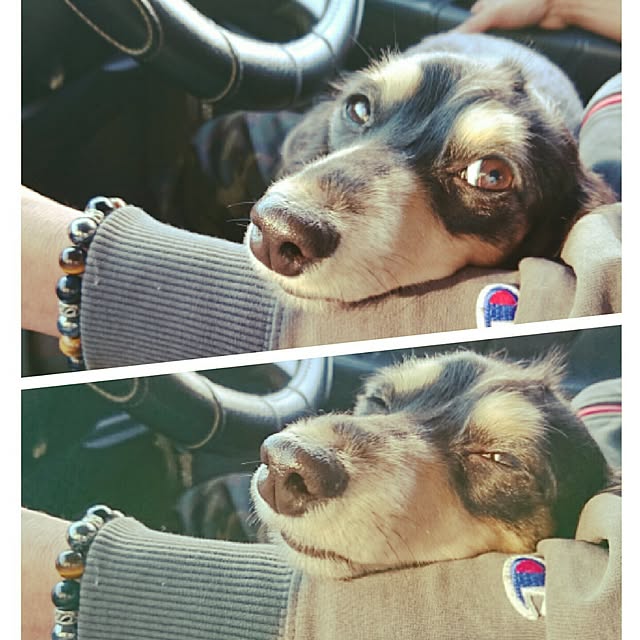 cocosorasakuさんの実例写真