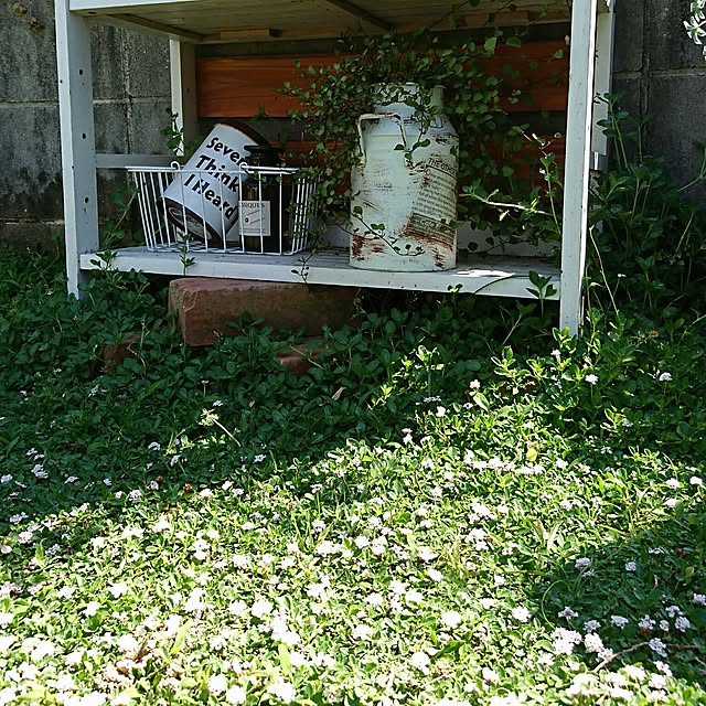 POOTAさんの実例写真