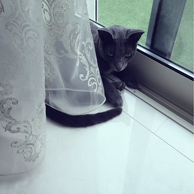 canaさんの実例写真