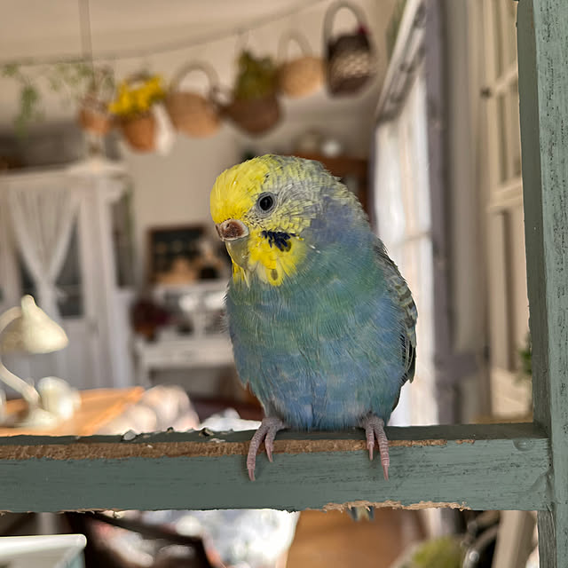 Atsukoさんの実例写真