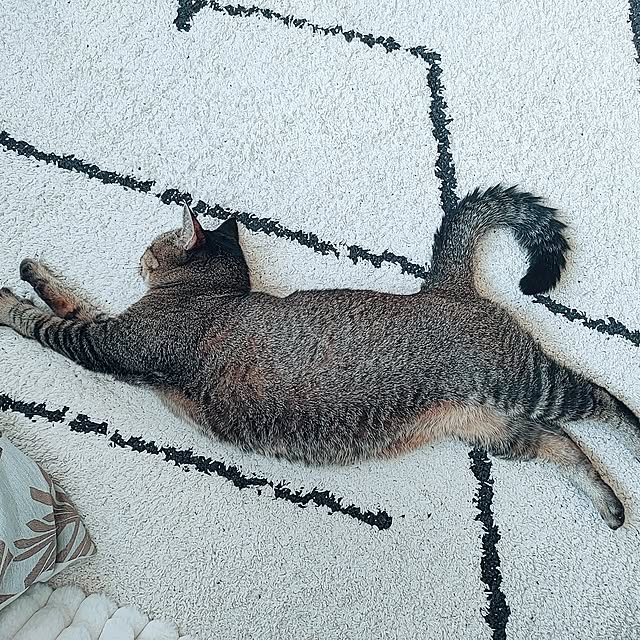 cocomintさんの実例写真