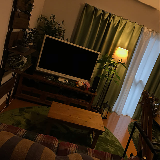 雑貨/ナチュラル/観葉植物/ニトリ/一人暮らし...などのインテリア実例 - 2020-11-02 12:47:29