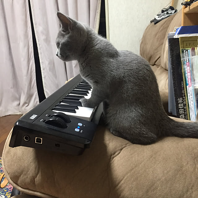 masaさんの実例写真