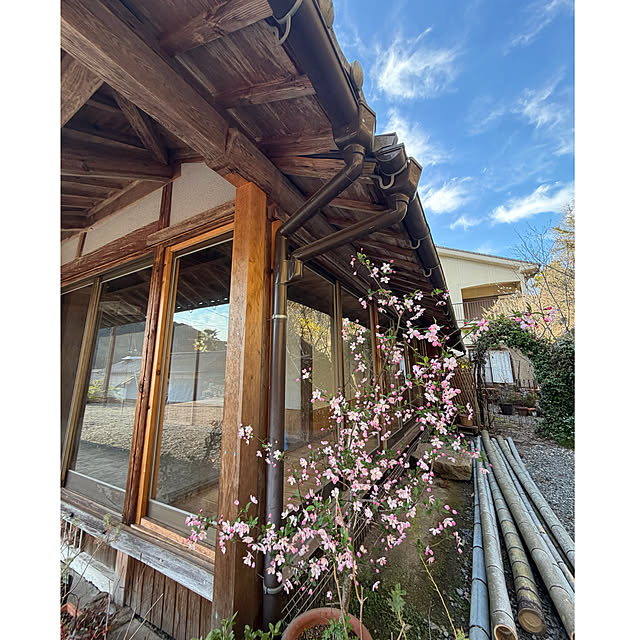 cotaさんの実例写真