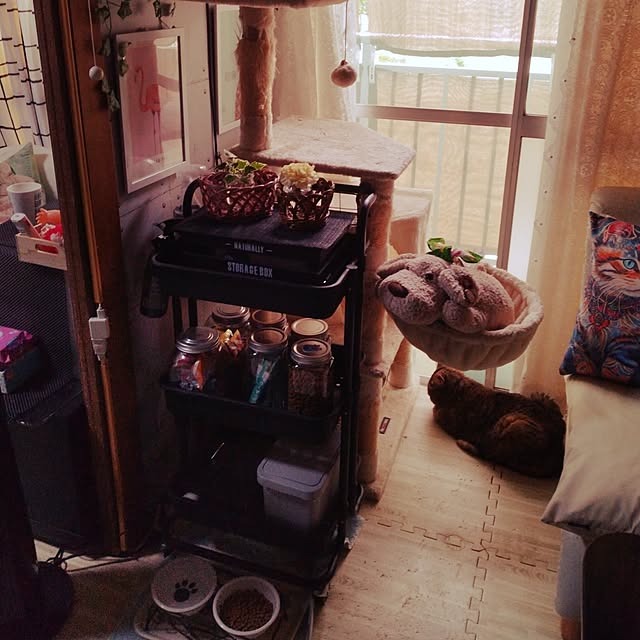 runaさんの部屋