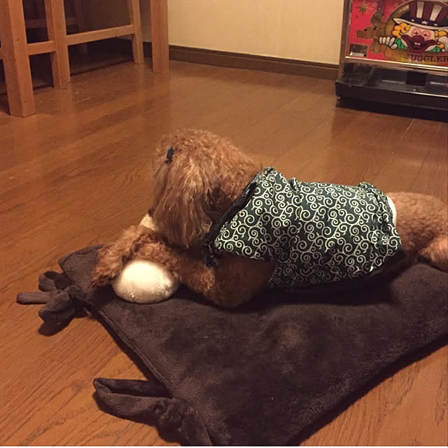 hirorinさんの実例写真