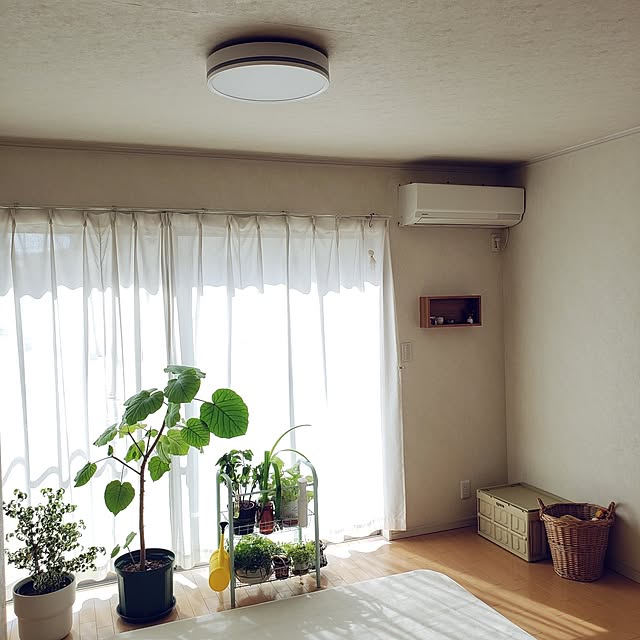 wanidaさんの実例写真