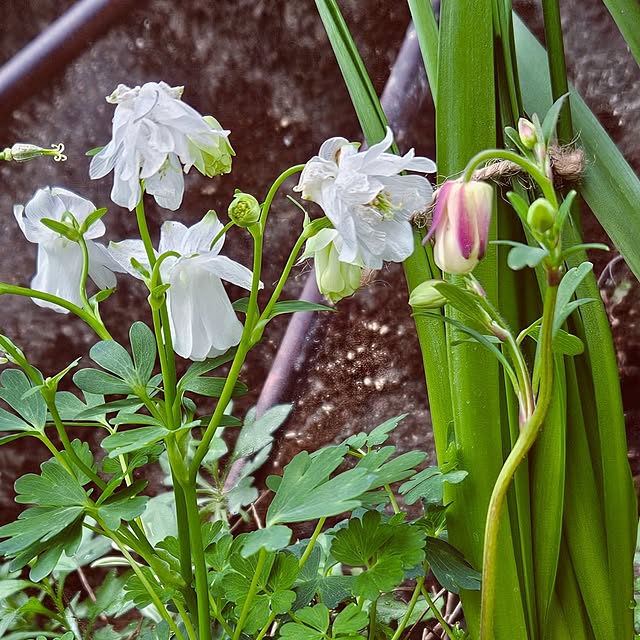 mocomocoさんの部屋