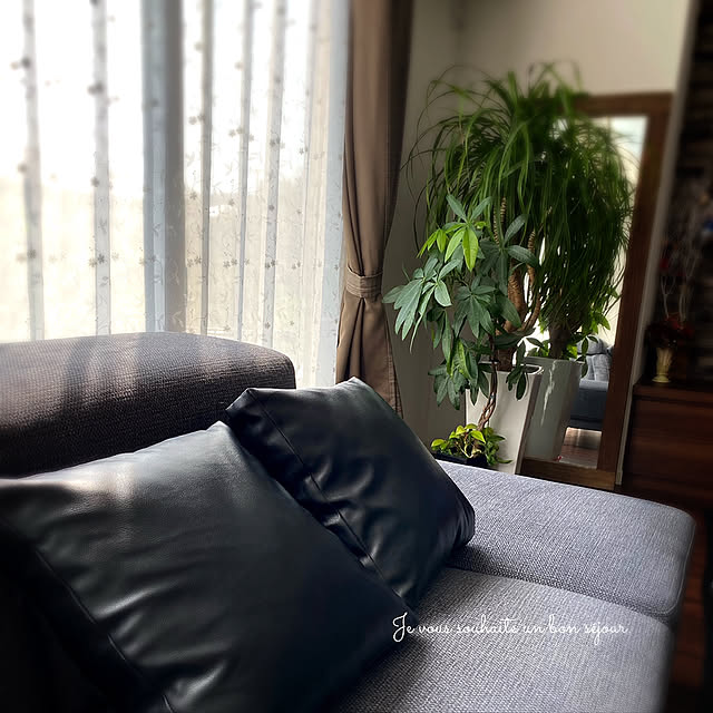 cocochiさんの部屋