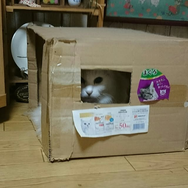 take4145さんの実例写真