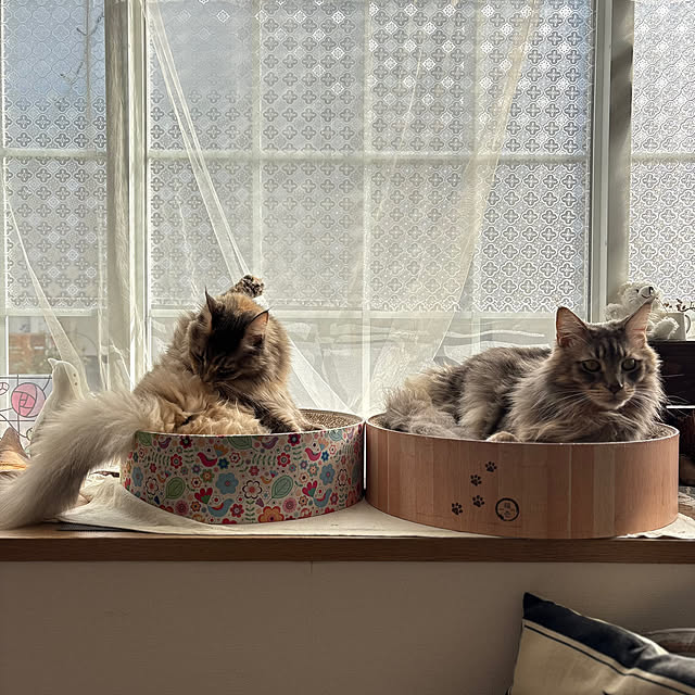 mayumiさんの部屋