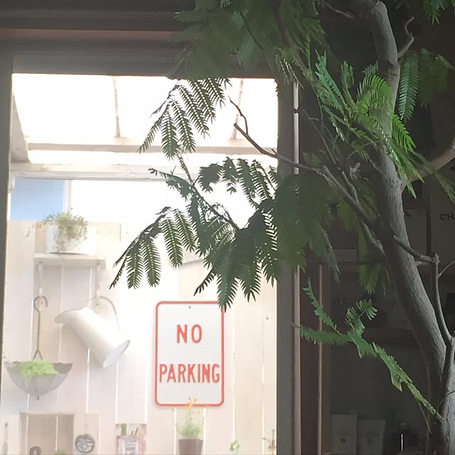 kamemayuさんの実例写真