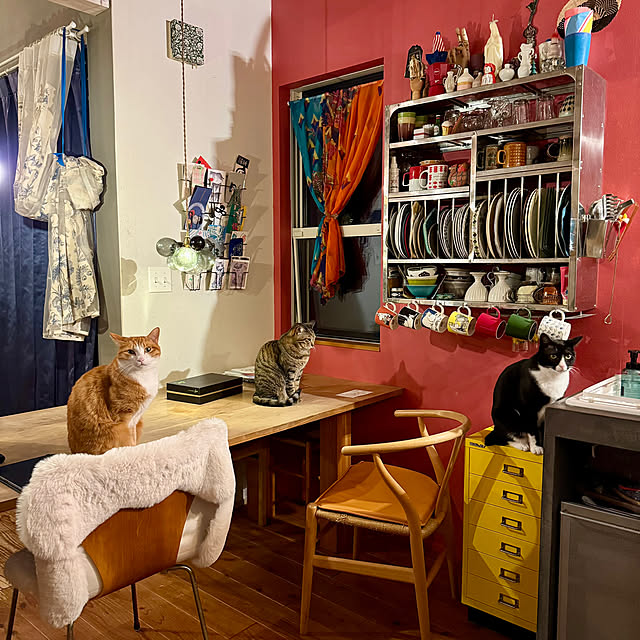 akaneさんの部屋