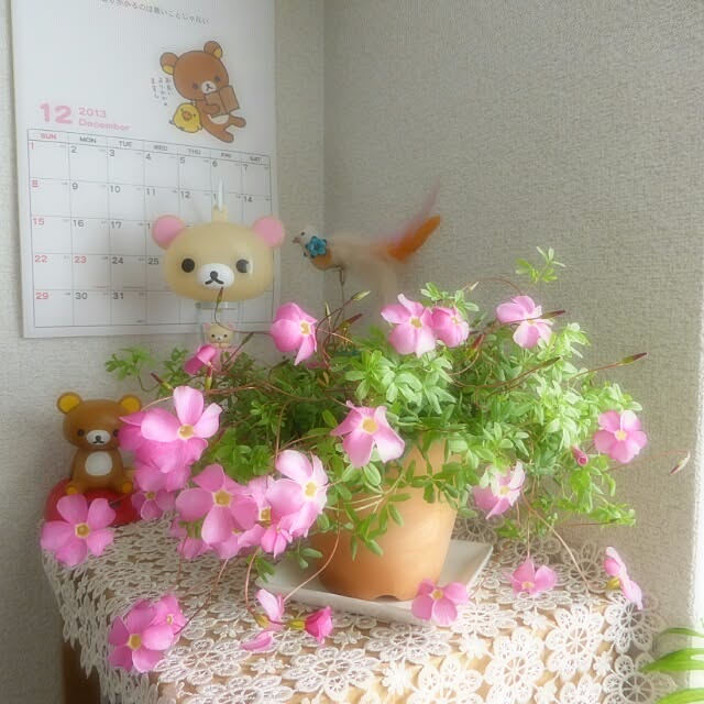 lovelinさんの実例写真