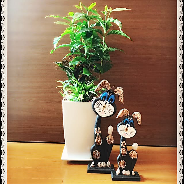 akerin33さんの実例写真