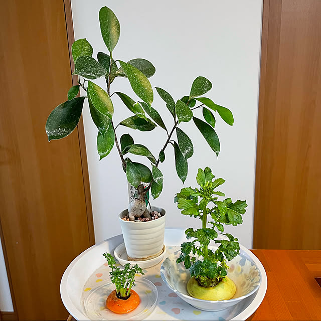 chanchikaさんの実例写真
