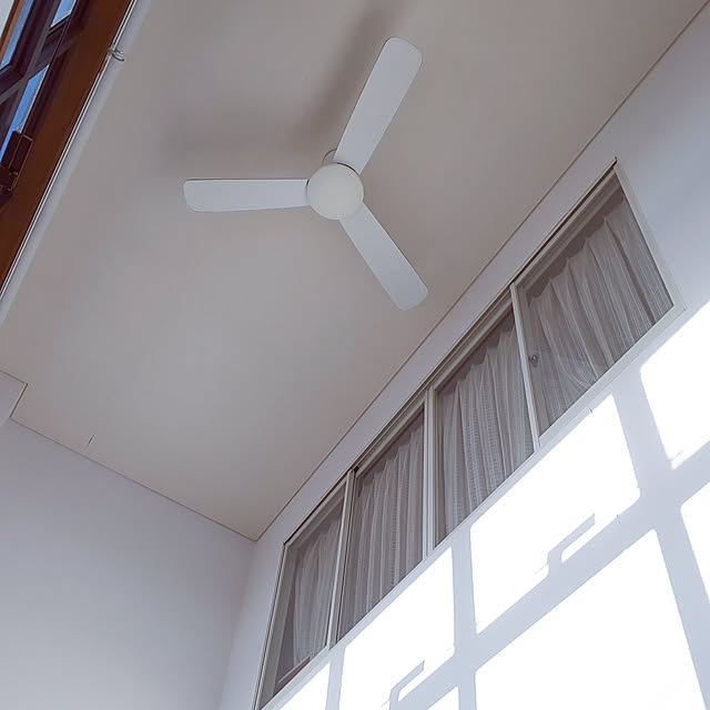 kokoshuさんの実例写真