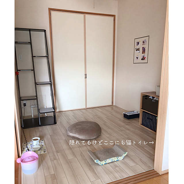 asaさんの実例写真