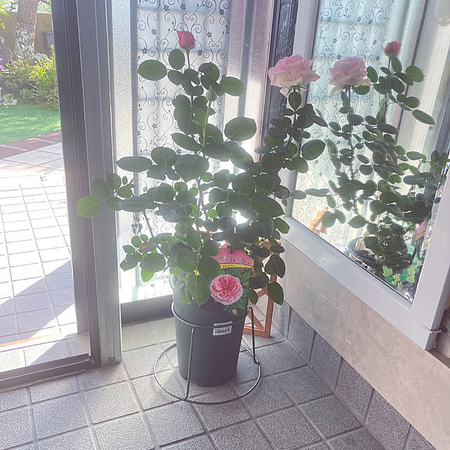 flowerさんの実例写真