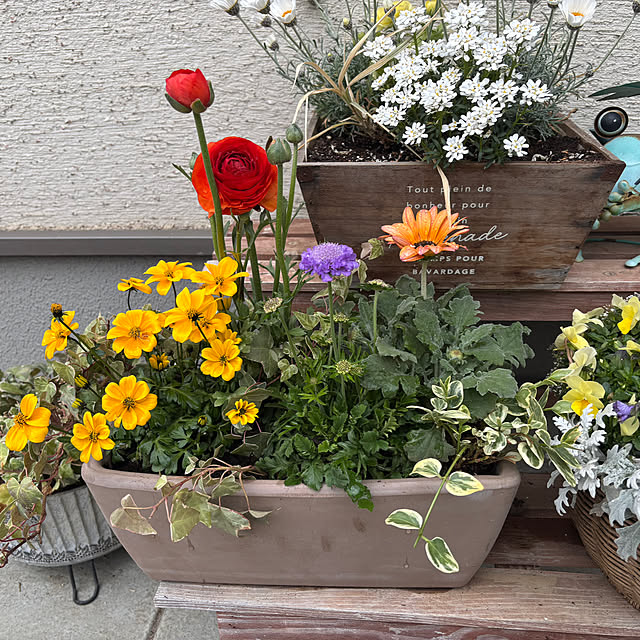 yumixさんの実例写真