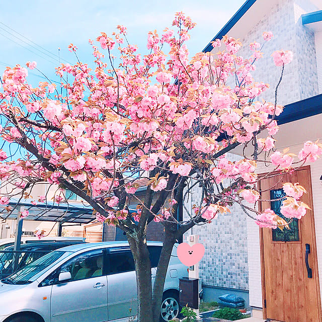 rizumu4649さんの実例写真