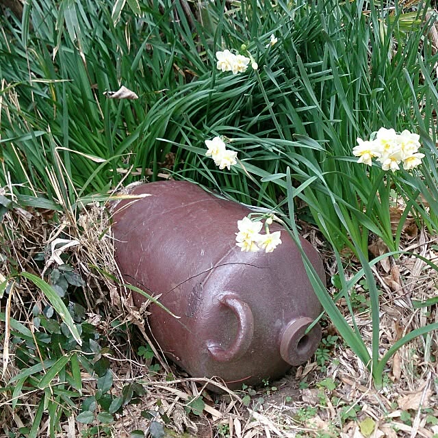 kikuさんの実例写真