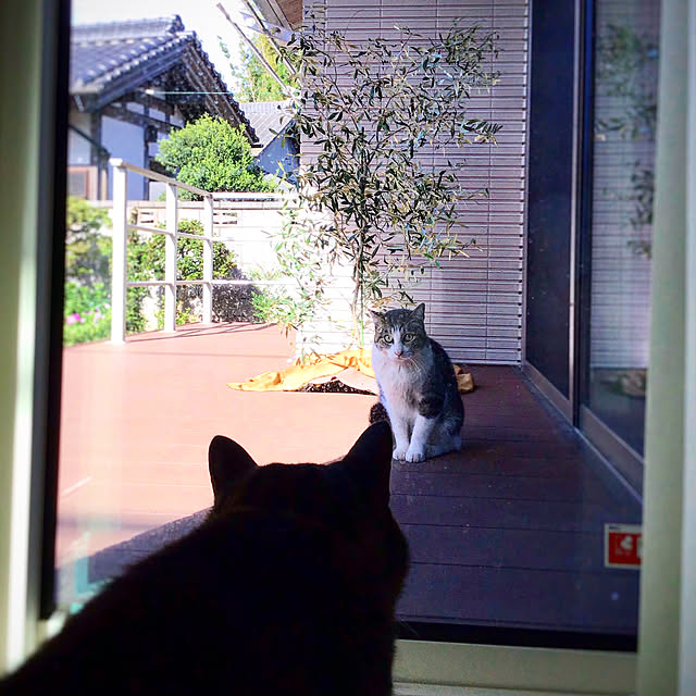 houenさんの実例写真