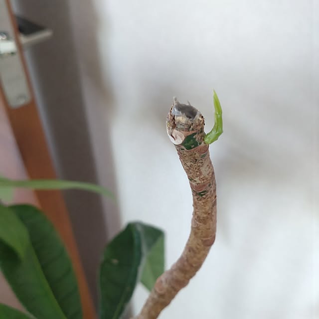 tan5さんの部屋