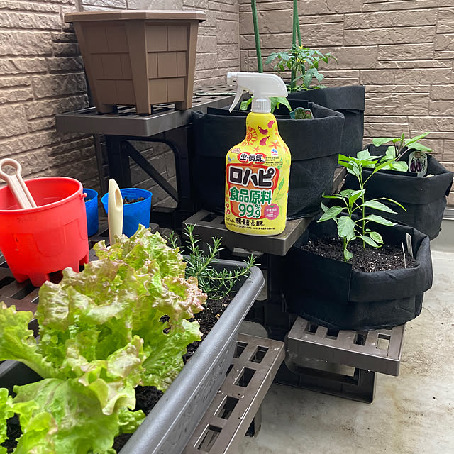 Omachanさんの部屋